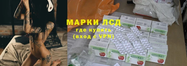 хмурый Арсеньев