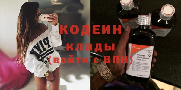 хмурый Арсеньев