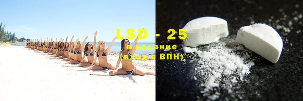 ГАЛЛЮЦИНОГЕННЫЕ ГРИБЫ Аркадак