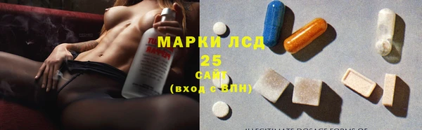 ГАЛЛЮЦИНОГЕННЫЕ ГРИБЫ Аркадак