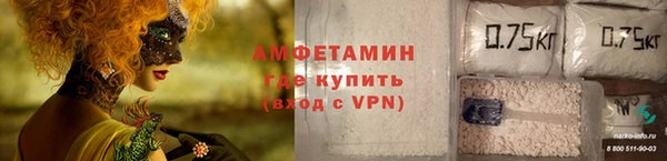 ГАЛЛЮЦИНОГЕННЫЕ ГРИБЫ Аркадак