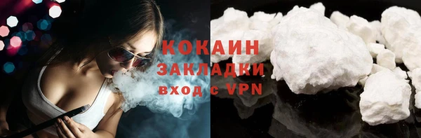хмурый Арсеньев
