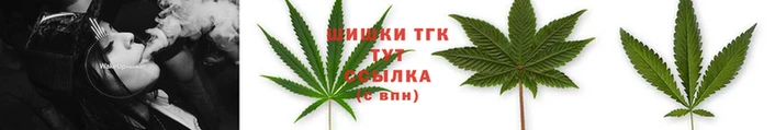 ГАЛЛЮЦИНОГЕННЫЕ ГРИБЫ Аркадак
