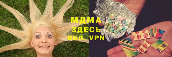 ГАЛЛЮЦИНОГЕННЫЕ ГРИБЫ Аркадак