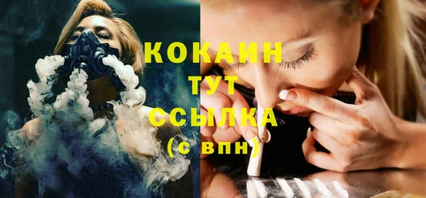 хмурый Арсеньев